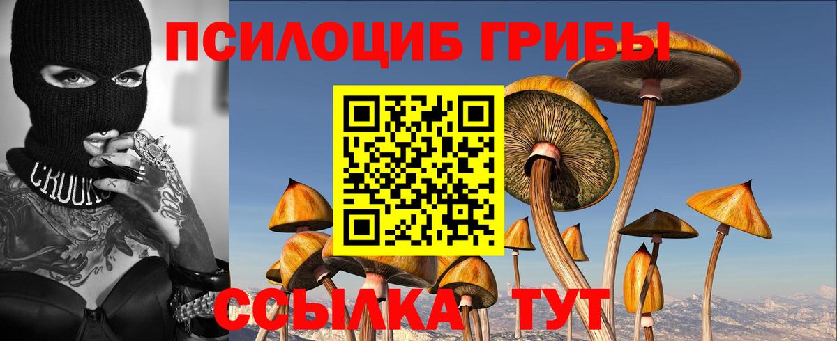 Ставрополь  Галлюциногенные грибы ЛСД  Вход с VPN 