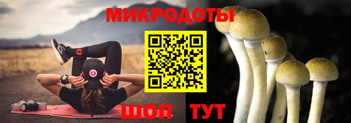 Галлюциногенные грибы мицелий Ставрополь